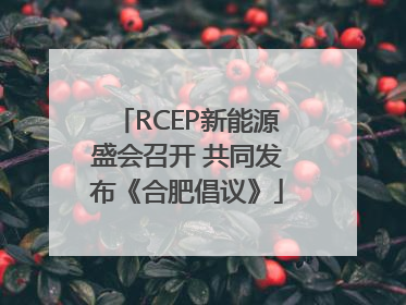 RCEP新能源盛会召开 共同发布《合肥倡议》